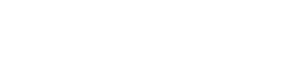 Naviscon Zrt. logo